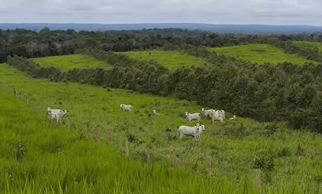 Grupo de produtores se uniu para formar a Frente Empresarial para Regeneração da Agricultura (FERA) — Foto: Arquivo pessoal