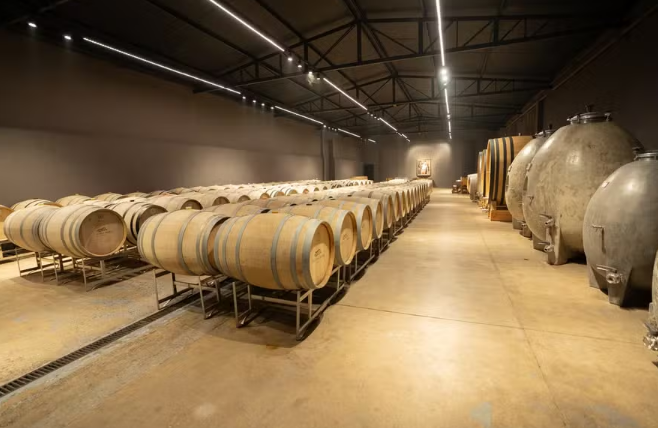 São Roque aposta em vinhos finos para retomar protagonismo na produção das décadas de 1960 e 1980 — Foto: Siderlei Ditadi